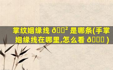 掌纹姻缘线 🌲 是哪条(手掌姻缘线在哪里,怎么看 🍁 )